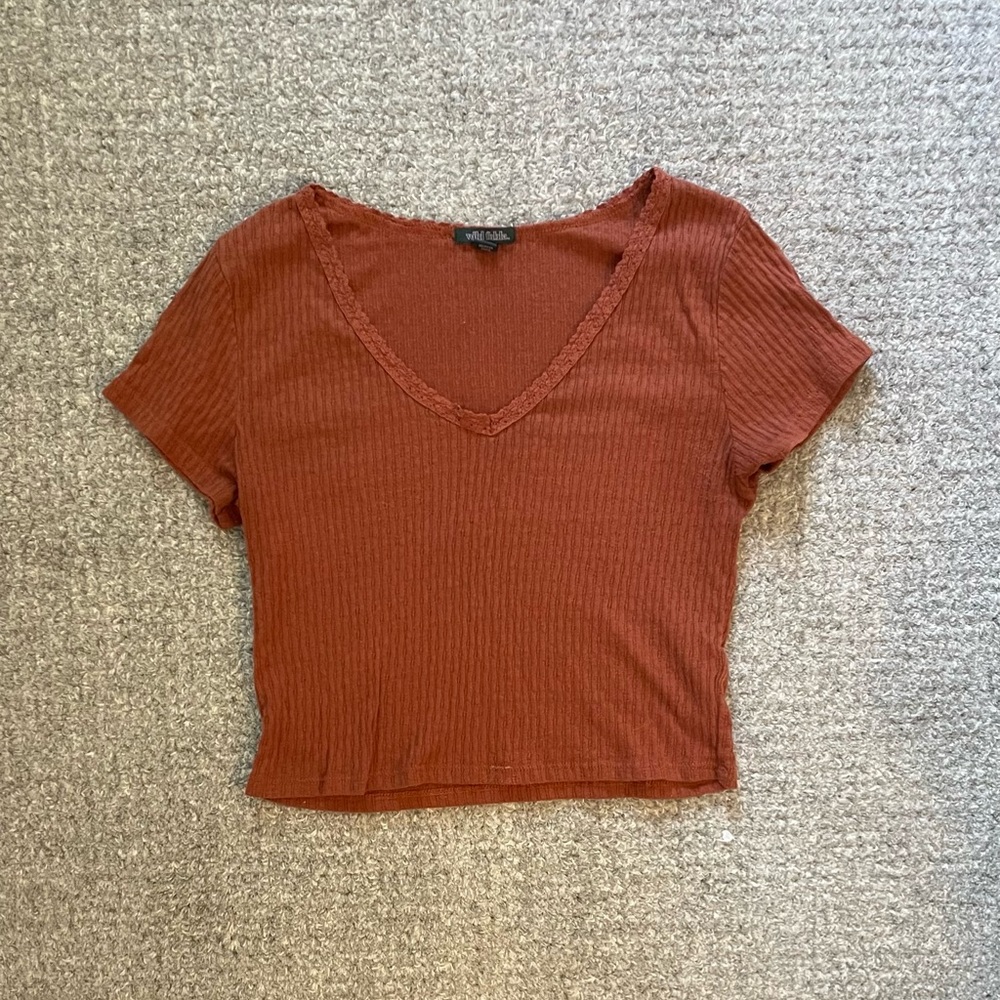 wild fable cropped t-shirt burnt orange